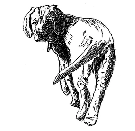 Trademark image
